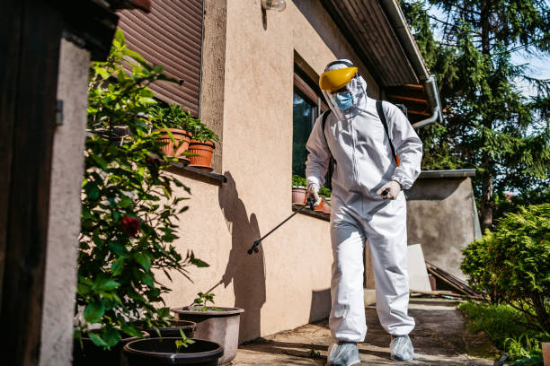 Best Bed Bug Extermination  in Skidway Lake, MI