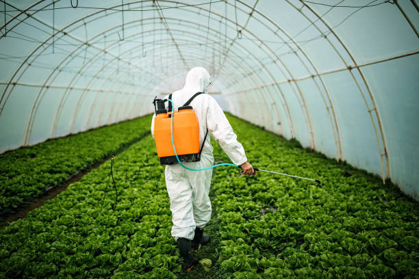Best Pest Inspection Near Me  in Skidway Lake, MI
