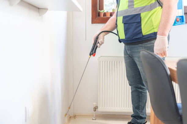 Best Rat Extermination Near Me  in Skidway Lake, MI