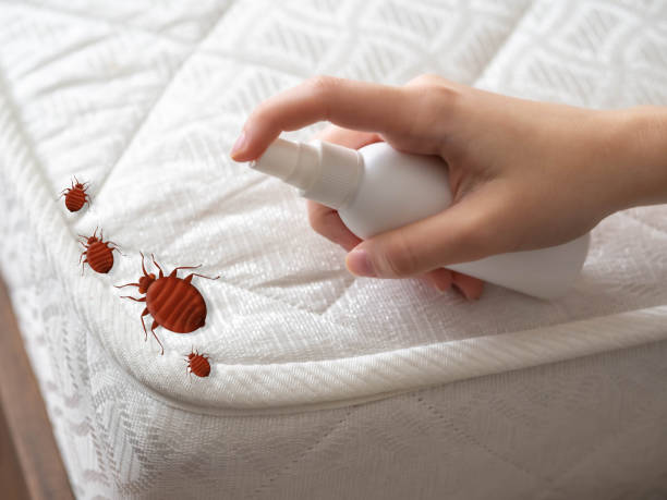 Best Exterminator Services  in Skidway Lake, MI