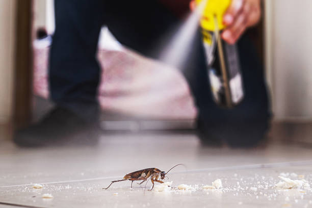 Best Wildlife Control Services  in Skidway Lake, MI